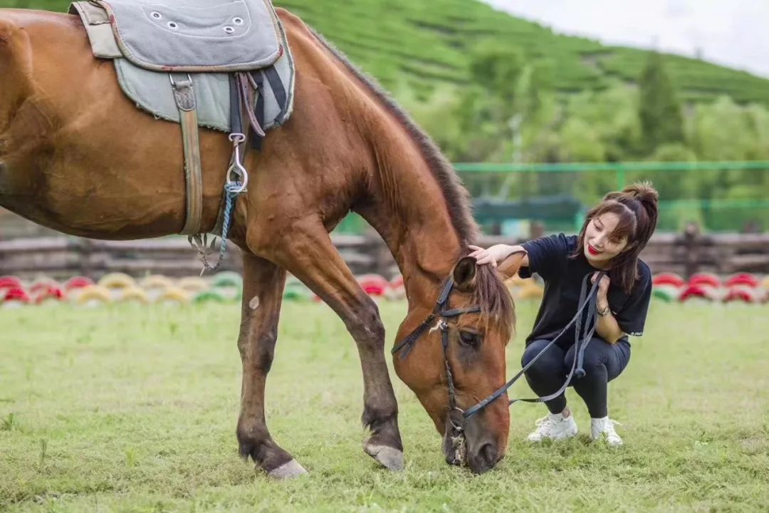 原乡小镇是什么,原乡小镇在哪里