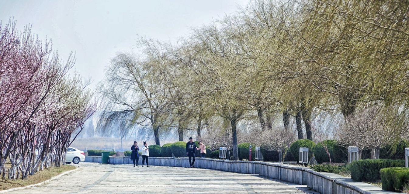 营口明湖广场可以烧烤吗,营口明湖广场夜市