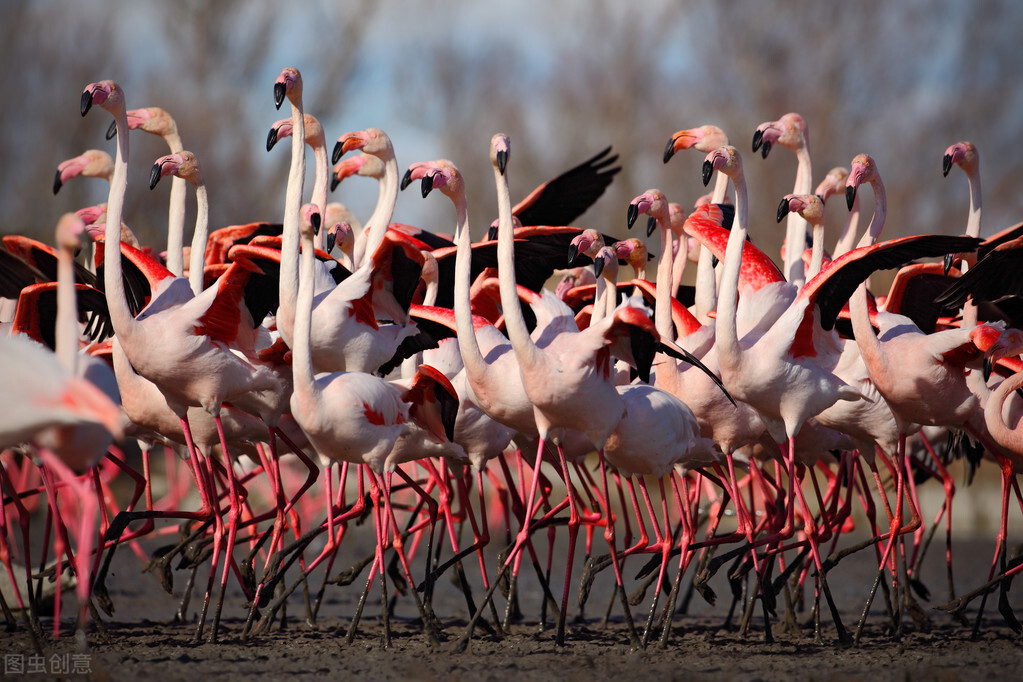 非洲最富国家,非洲最富十个国家