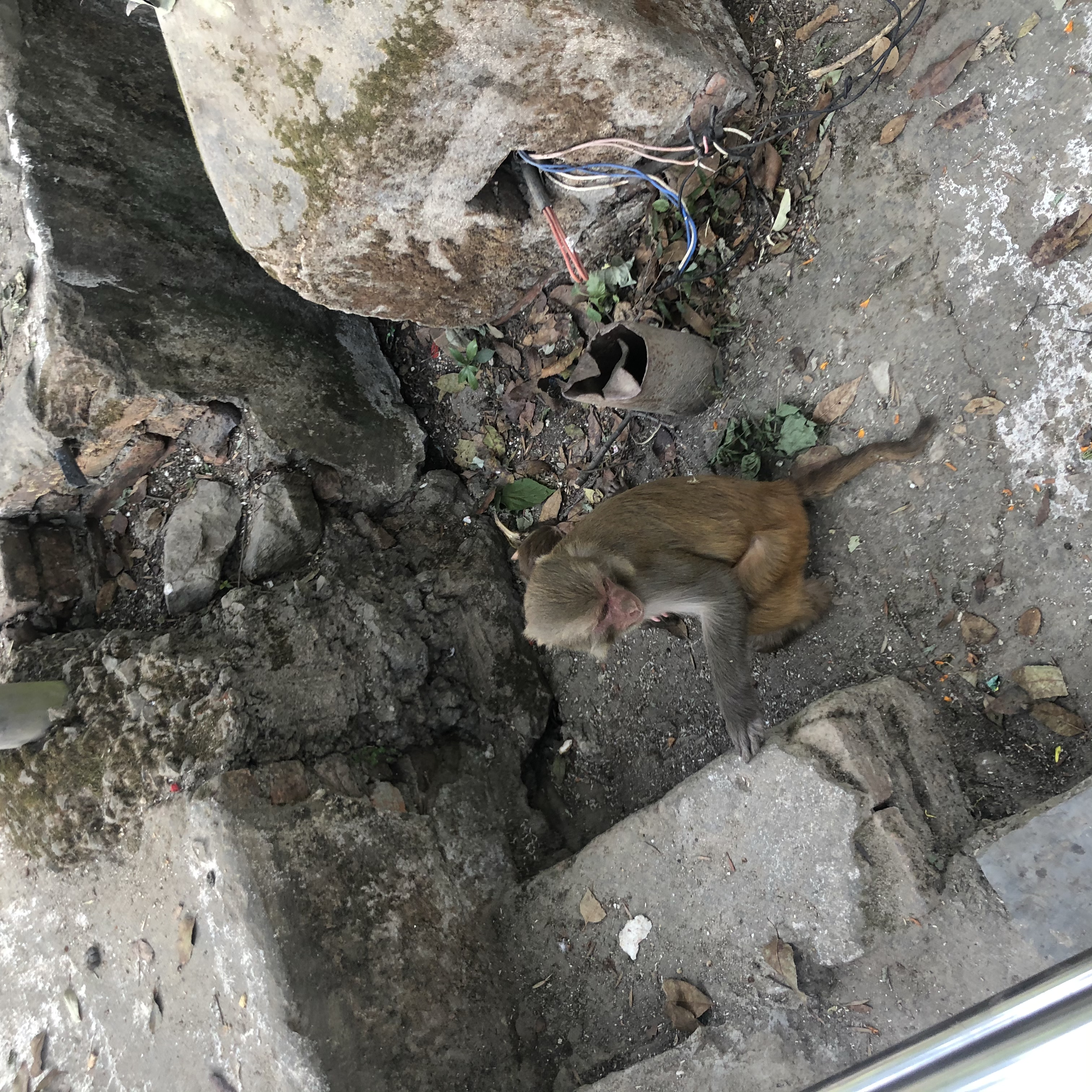 尼泊尔自由行旅游攻略,尼泊尔自驾游纯玩路线定制