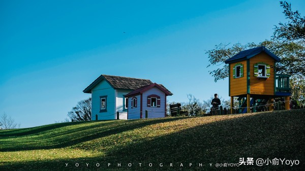 济州岛最值得去的地方,来济州岛第一天去哪玩