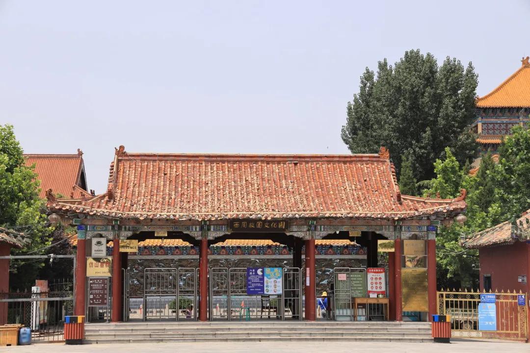 山东8个网红城市,山东比较名气大的网红