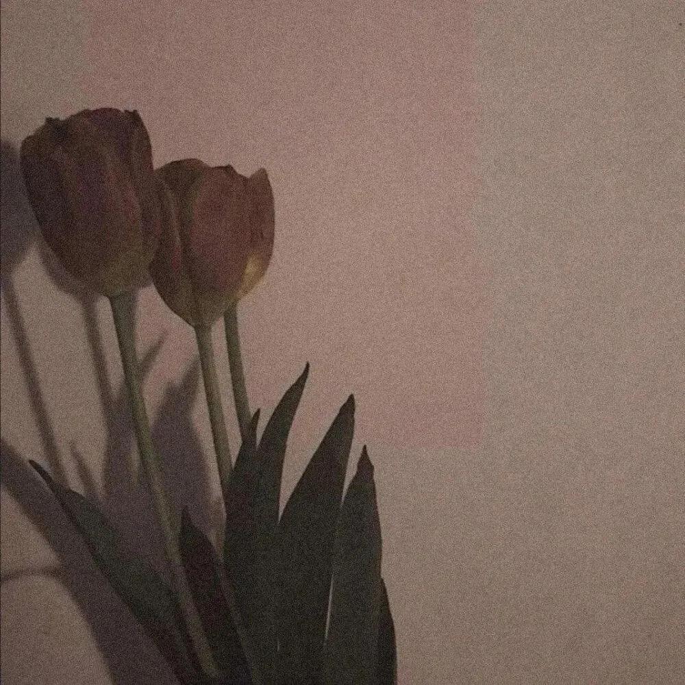 女生都喜欢的朋友圈背景图,朋友圈背景图全部女