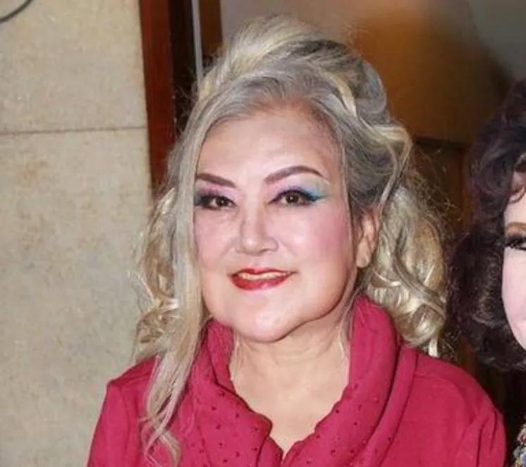 叶童和赵雅芝对比图片,赵雅芝和叶童的绝美瞬间