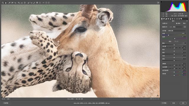 尼康d850完全摄影指南,尼康d850大变焦镜头推荐