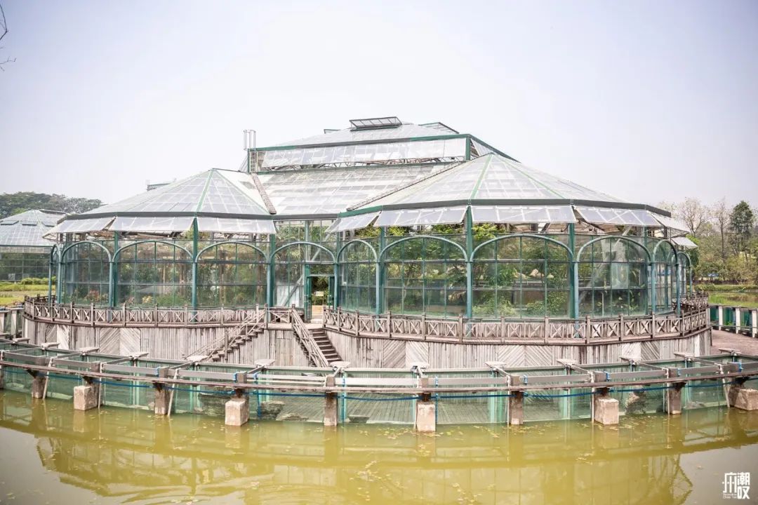 300+万㎡原始森林秘境，天河就有