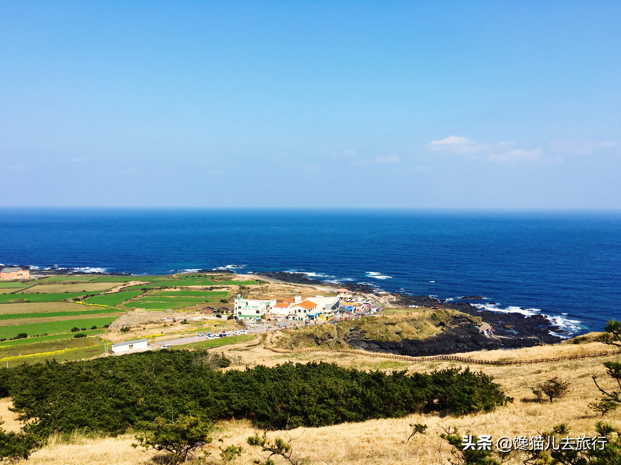 韩国人有多喜欢青岛,韩国人在韩国看对面的青岛