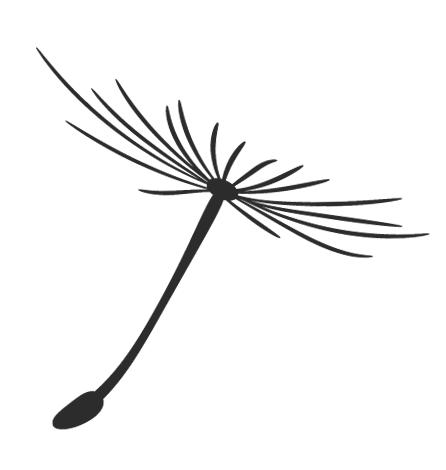 祖老师带你看宁波四中！哇！有6个特色班！