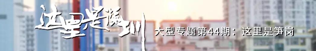 公社笋岗,万象笋岗