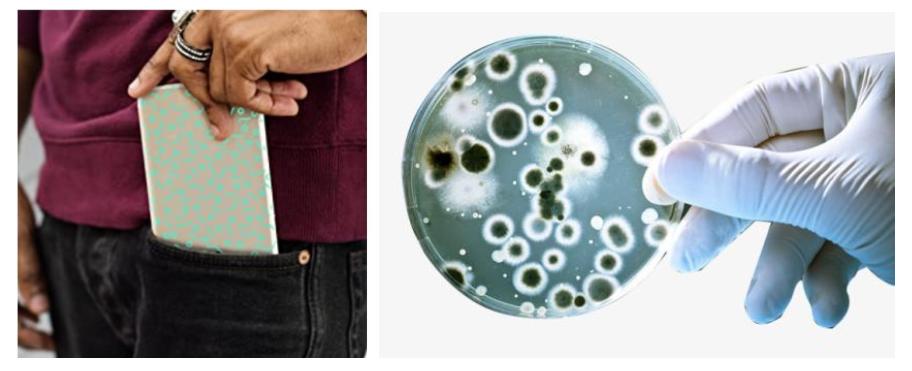 被忽略的王者英雄,被忽视的王者英雄