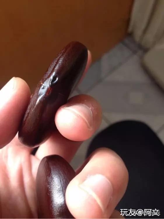 五块钱买的小玩意,5元一个的小玩意