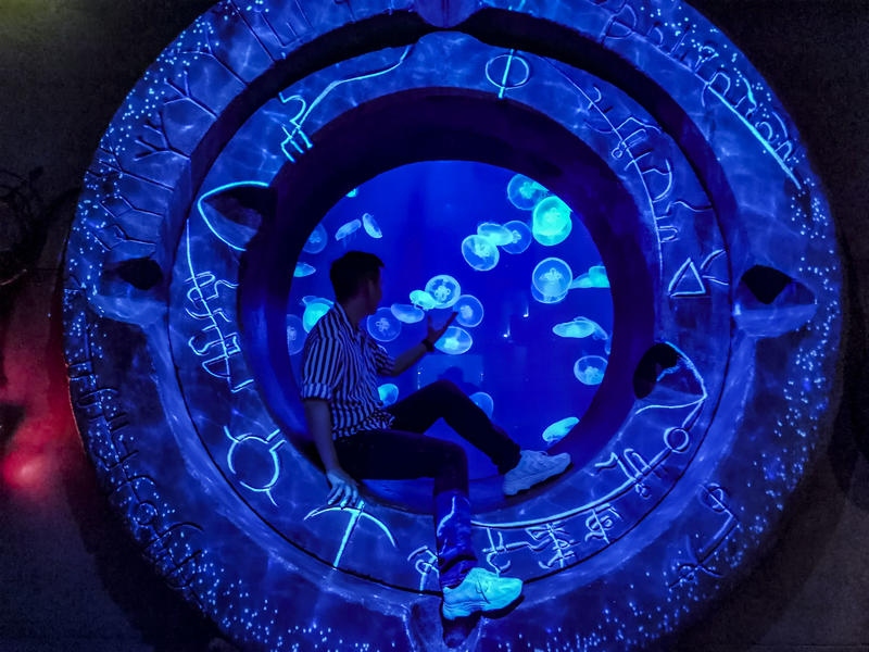 沙漠浪漫之旅迪拜,从天空进入海底