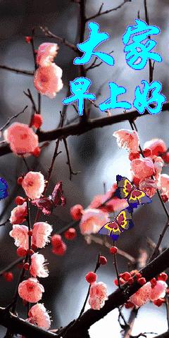 11.15,我把祝福送给你，幸福你每一秒，早晨好！