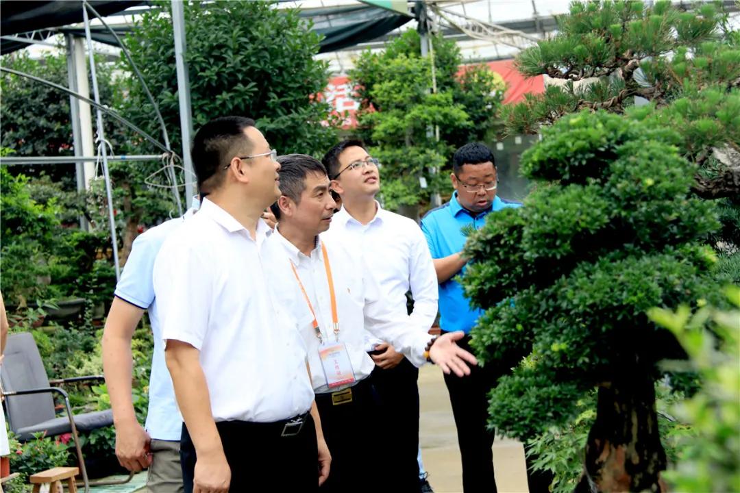 中国沭阳国际花木城在哪个城市,沭阳花木城的发展