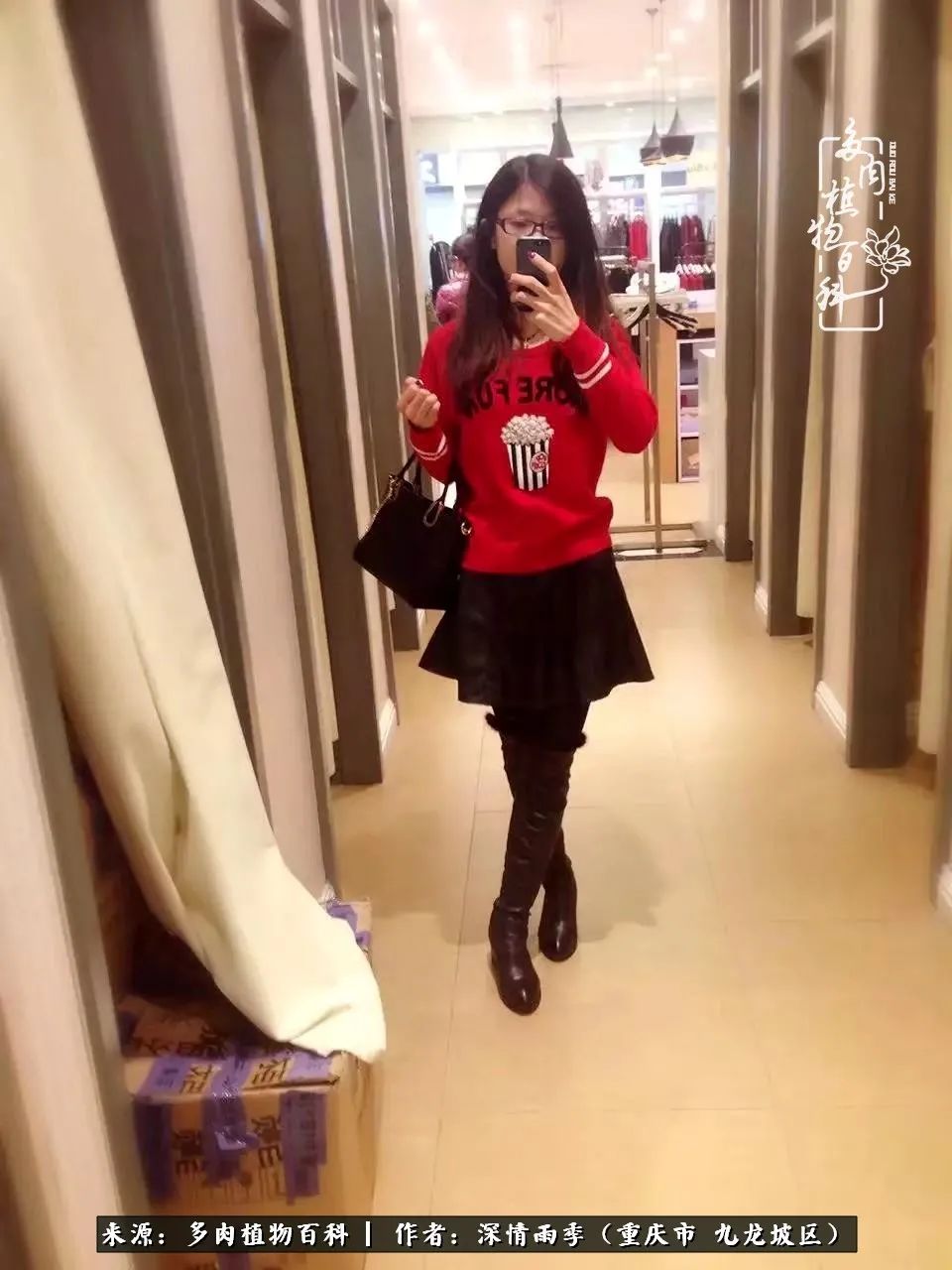 在重庆养多肉养的是一种信仰,重庆养多肉适合用什么土