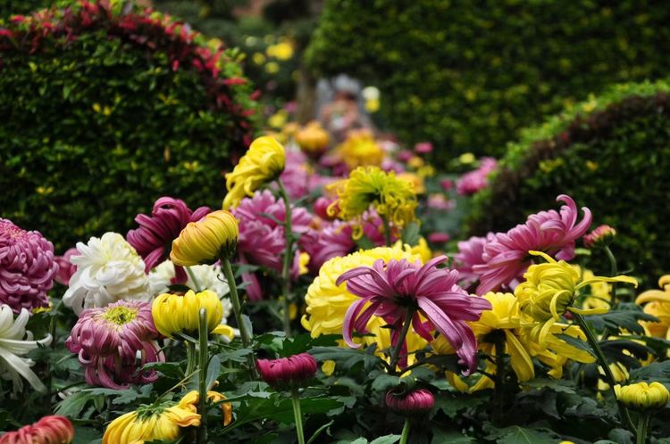 深秋的私语,美文美图经典欣赏