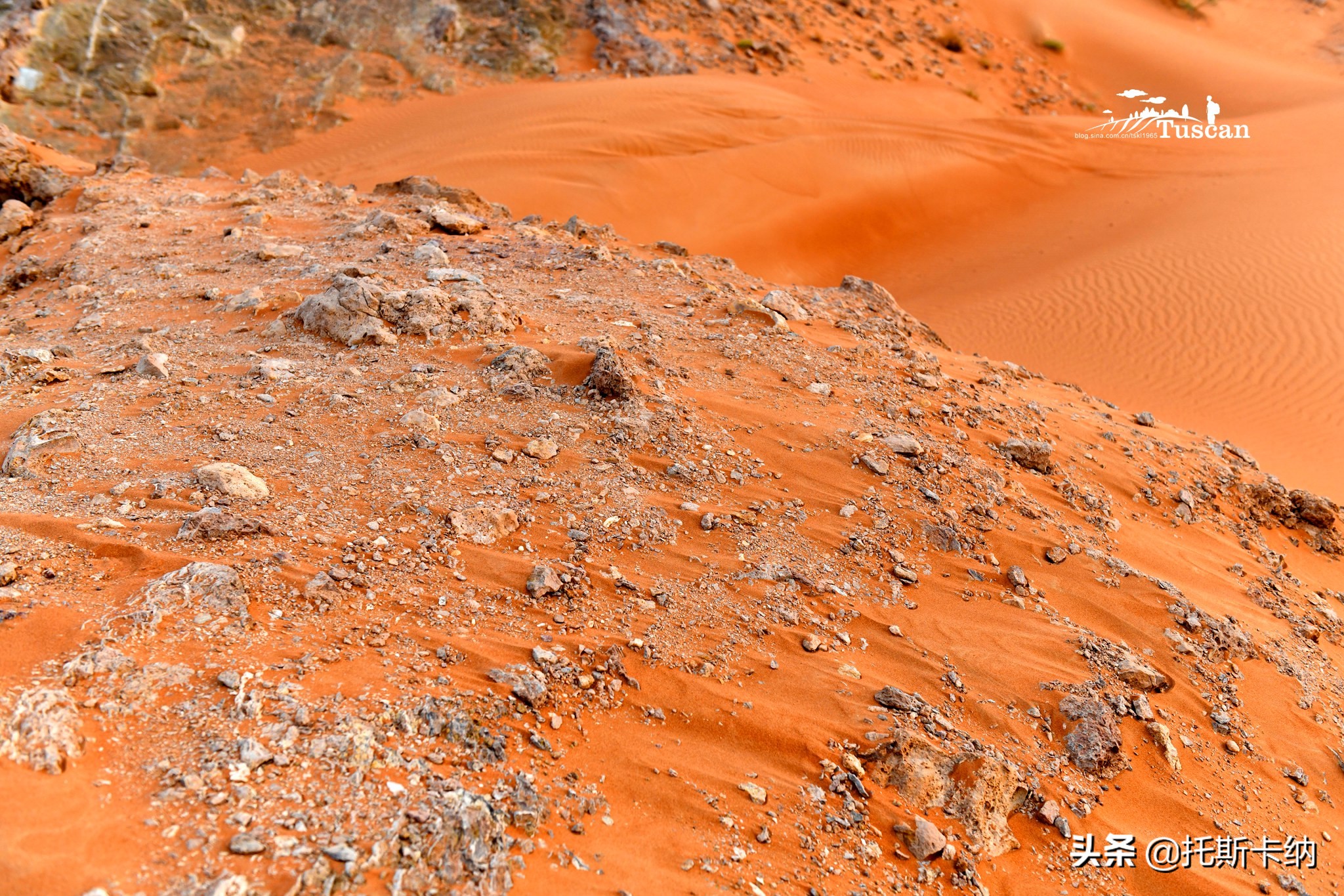 阿联酋沙迦有什么好玩,阿联酋沙迦景点介绍