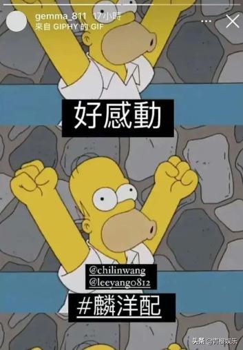 发言拉踩运动员,粉丝劝诫又被拉黑,31岁鬼鬼就只会扮可爱吗?