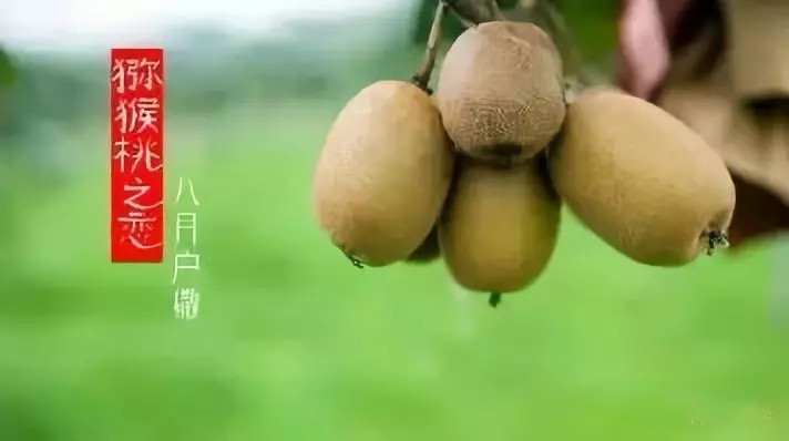 户撒佛祖的后花园现在怎么走,户撒为什么叫佛祖后花园