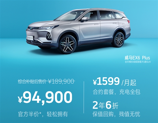 半价纯电动车,半价新能源suv