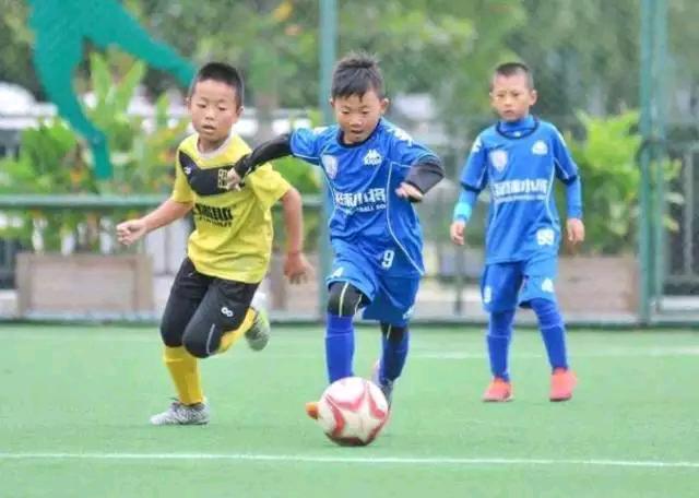 名嘴董路指出国足落后根源,足球评论员董路吐槽大会