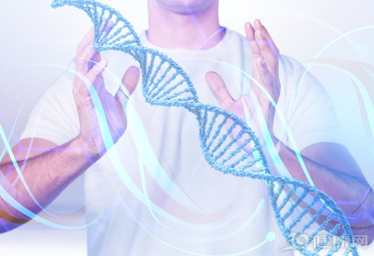 雄激素是男人的“象征”,几个方法,提高体内雄激素含量