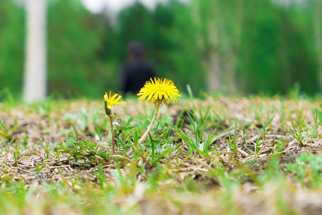 松下相机lx10与lx100m2的区别,松下lx10与单反拍照样张对比