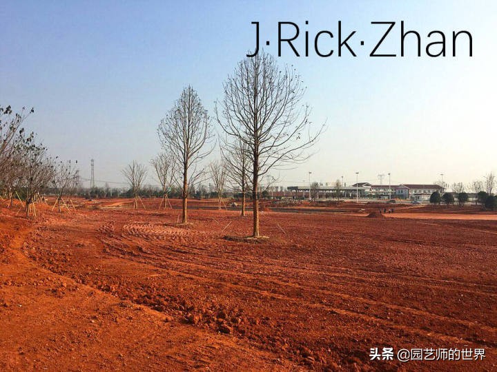 果岭草坪的种植养护方法及技巧,怎么种植一个可以躺的草坪