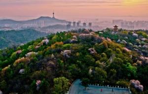 辽宁丹东是地级市吗,辽宁省丹东市排行