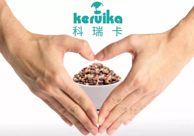 猫咪不睡窝睡沙发怎么办,猫咪不睡猫窝应该怎么办