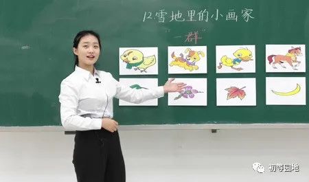 公立学校招生宣传工作,招生宣传片小学教育专业