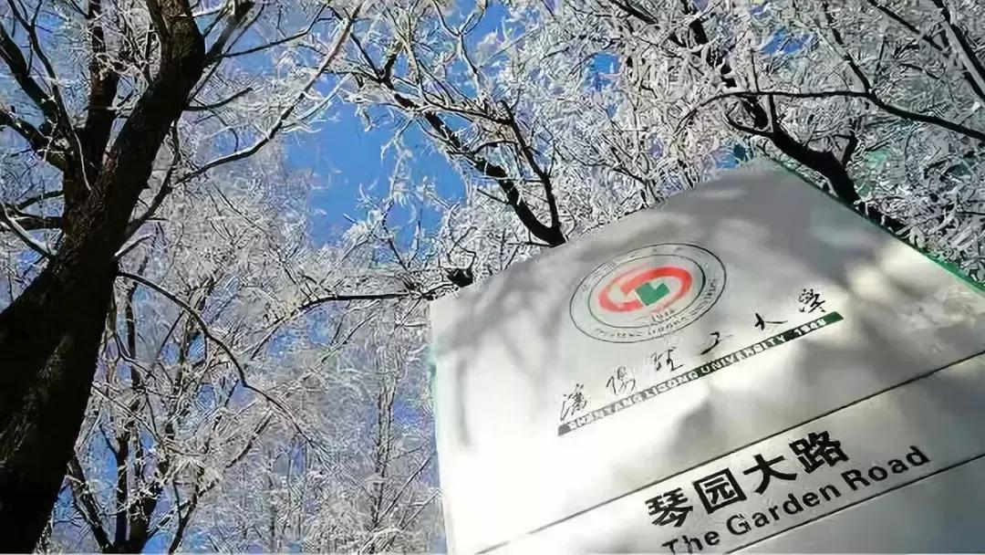 沈阳理工大学辽宁工程技术大学,沈阳理工大学专科院校