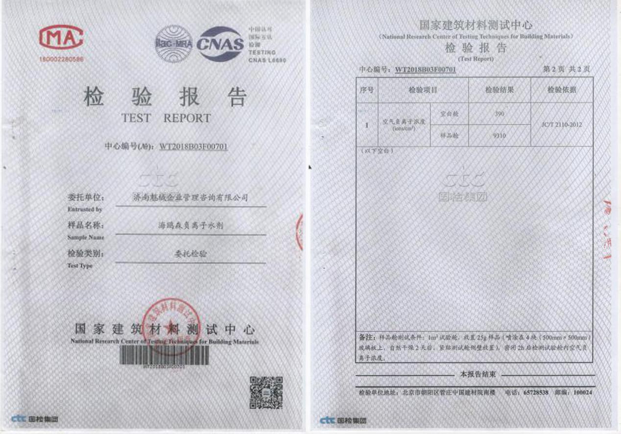 海欧森负氧离子,海鸥森