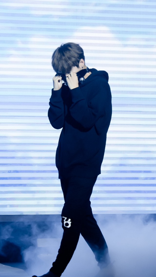 鹿晗壁纸,鹿晗和小鹿的壁纸