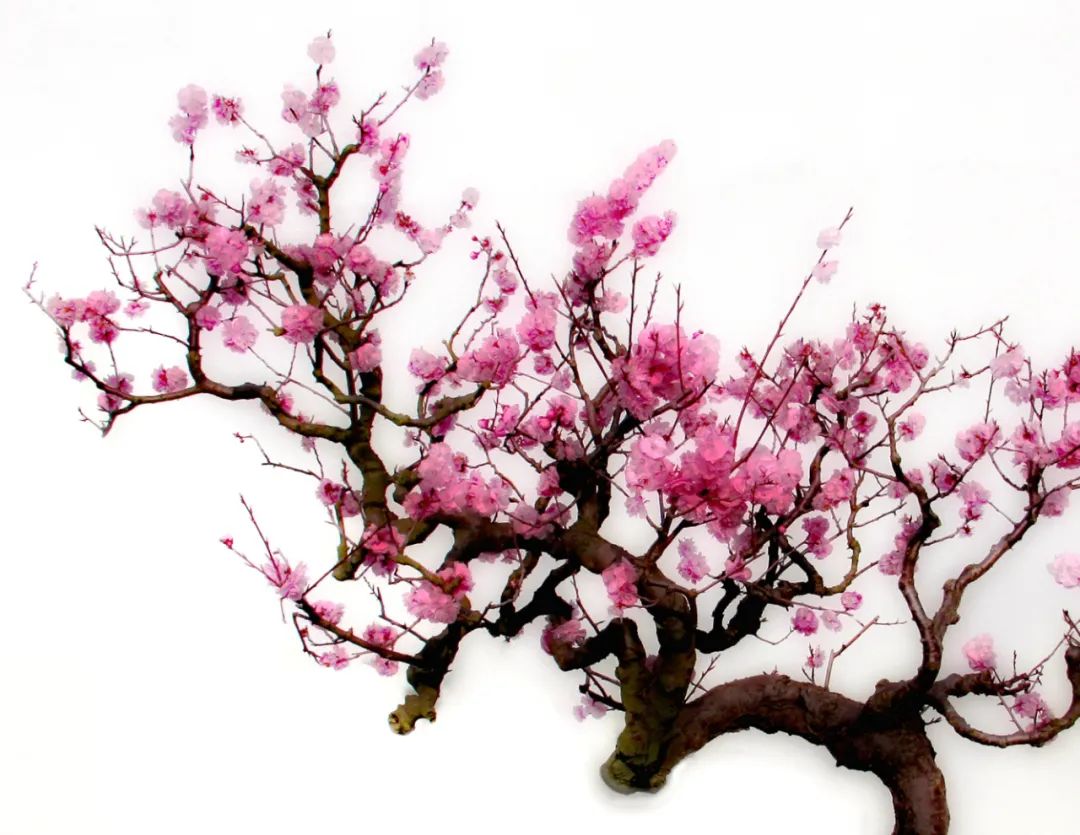 香港第14届全国摄影艺术展,第29届全国摄影艺术展览获奖名单