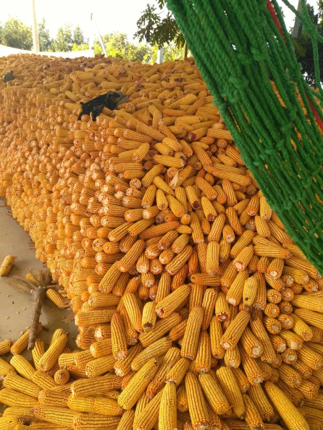 习甸镇,怀远古镇