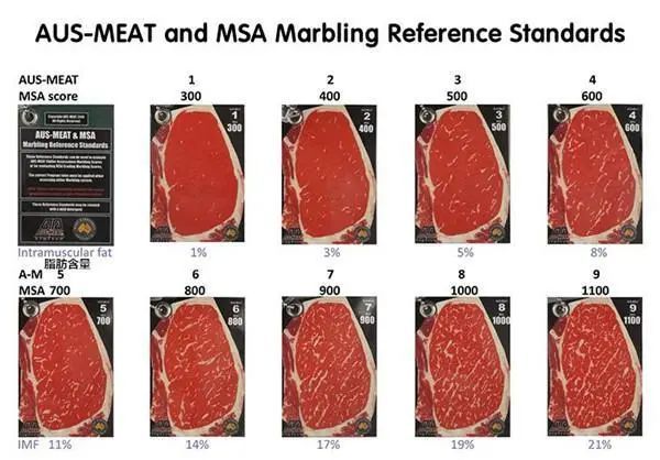 藏不住了！牛肉中的“爱马仕”—澳洲和牛，了解一下？