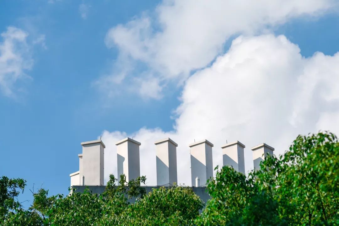 神仙颜值学校,神仙颜值校园