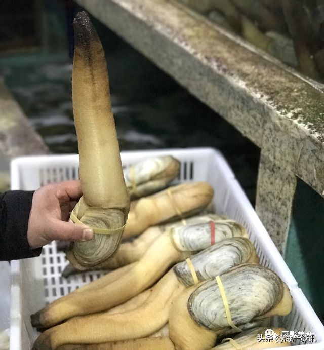 世界公认十大海鲜,全球顶级海鲜食材大赏