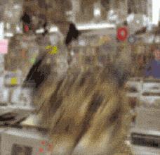 脾寒肝火旺吃什么药,脾寒肝火旺先治哪种