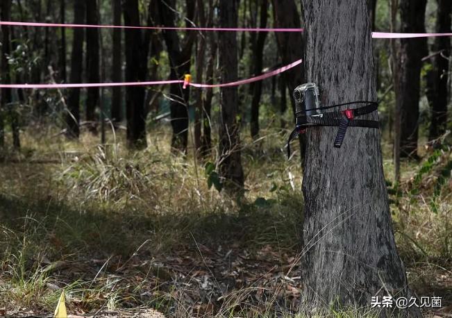 国外诈尸事件,世界上有没有诈尸事件