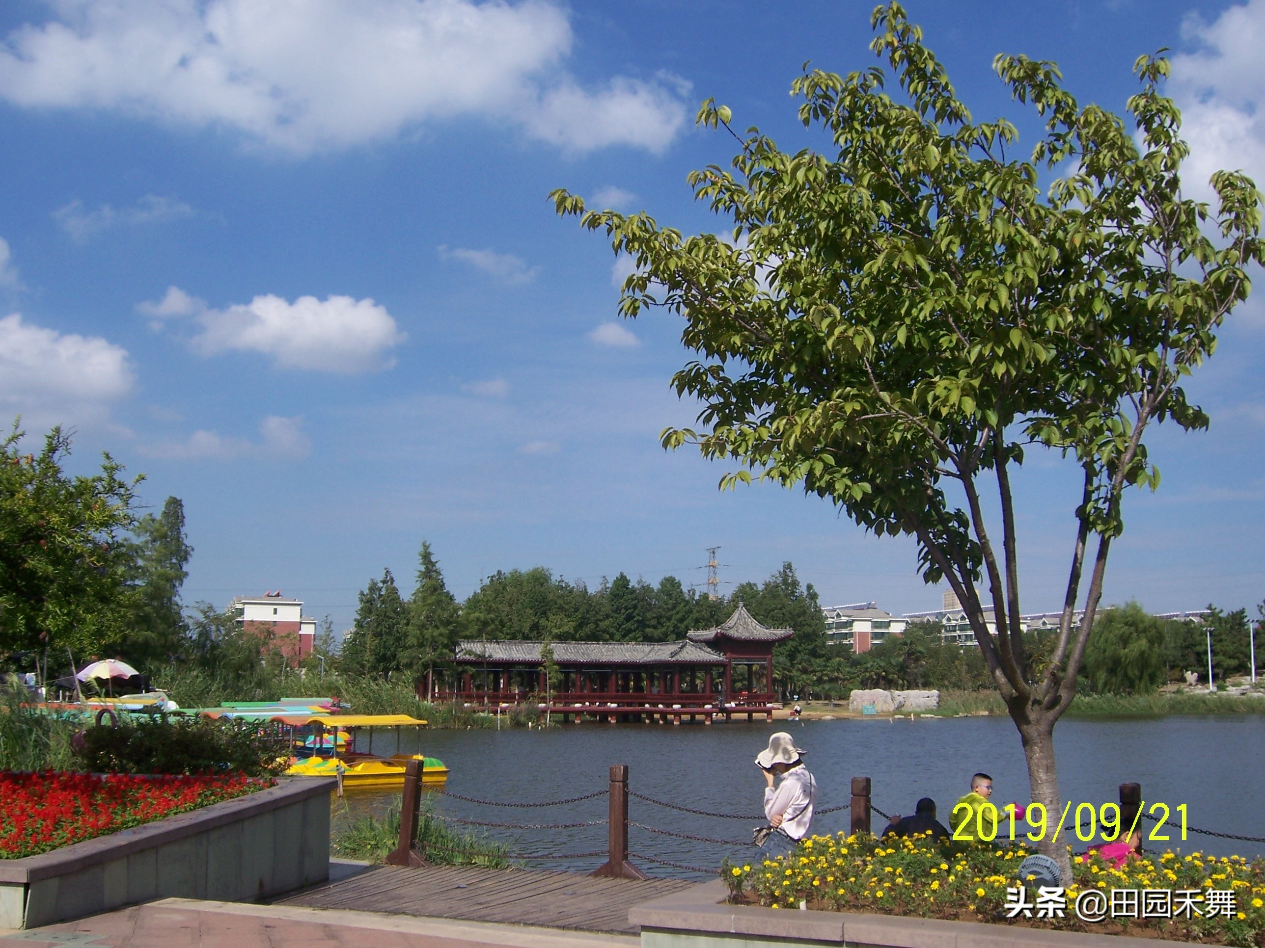 连云港新浦不再是区了，但有些记忆，已深深印在脑海中