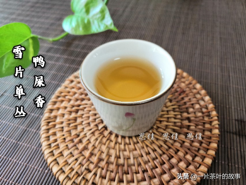 凤凰单丛鸭屎香柠檬茶冲泡方法,凤凰单丛鸭屎香茶最佳冲泡方法
