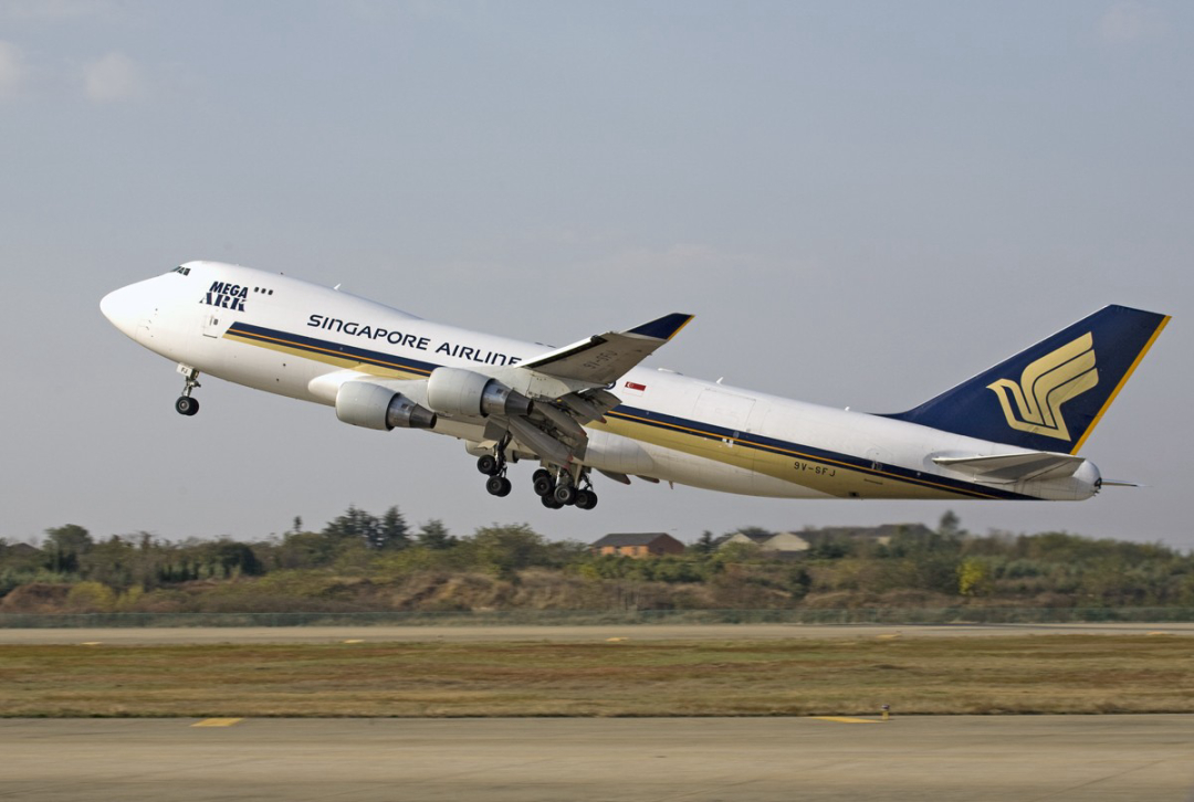 金花蛇飞行原理,没有翅膀也能飞中国科学家