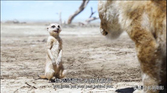 新版狮子王还会再次延续吗,狮子王高光时刻