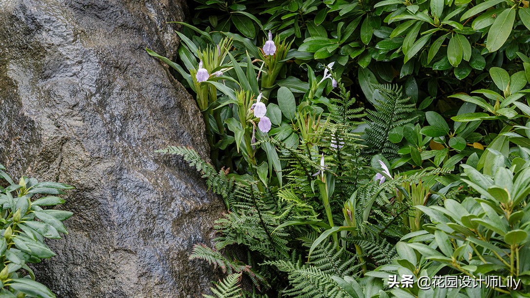 2023年切尔西花展各个花园的介绍,切尔西花展最佳花园