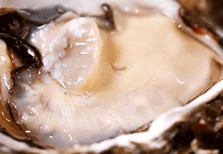 鍗楁槍娴烽矞鐑х儰鐢熻殱,鍗楁槍鐑х儰鐢熻殱鎺ㄨ崘