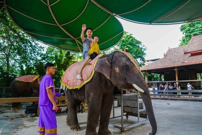 西双版纳曼听公园看大象,西双版纳曼听公园大象体重