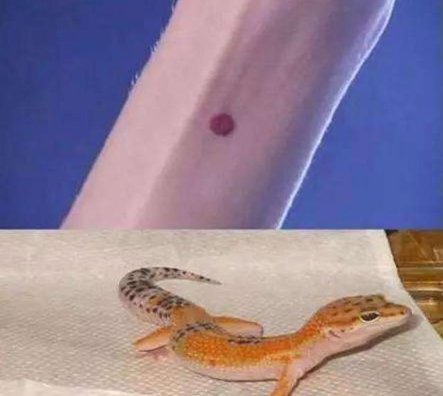 封建社会男尊女卑的例子,古代的男尊女卑是必然的吗