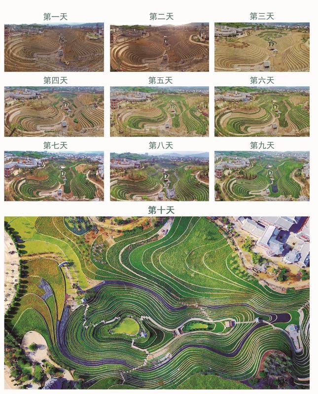 中国首富许家印到底有多强啊,首富许家印的成长经历